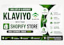 set up klaviyo and integrate it with your shopify store